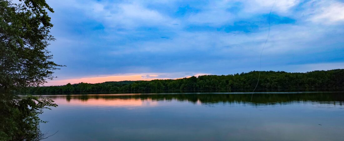 Blue Heron: Quiet Water on the Tennessee River
