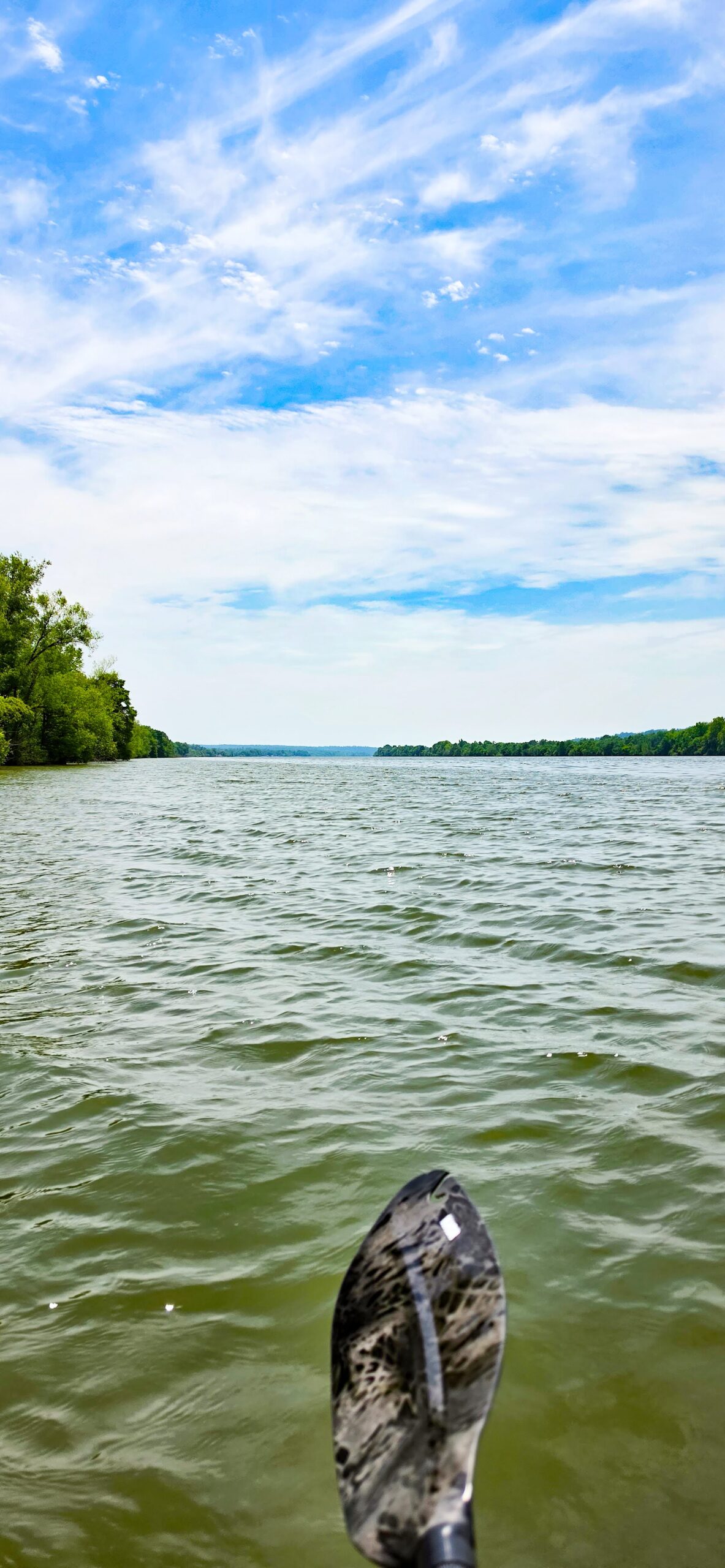 Kayak paddle over the green water of the Tennessee River under a wide sky